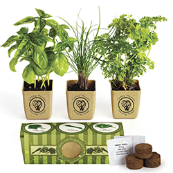 Eco Planter Herb Garden Set