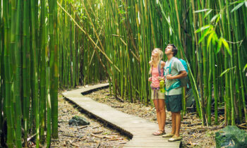 Sustainable Marketing with Bamboo Products for Business!