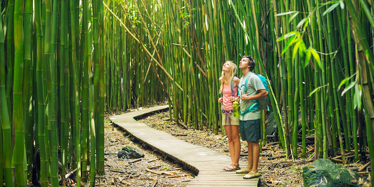 Eco-Friendly Bamboo Root Board